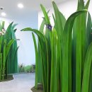 정양늪생태공원 이미지