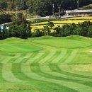 화성드림파크 여성구장 | “가성비 미쳤다⛳ 10만원대로 즐기는 수도권 골프장 TOP10 (실제 라운드 후기 총정리)”