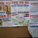 랄라하우스 | 2026 기아타이거즈 시범경기 + 기아챔피언스필드 싸인받는곳!