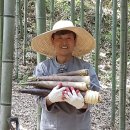 새순영농조합법인 이미지