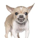 씨유 뉴명지위브점 | 뭐라 적어야 할 지 모르겟어요