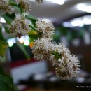 진국명국 이미지