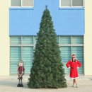 솔잎커피숍 이미지