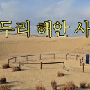 신두리 해안 사구 이미지