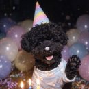 놀러오개 이미지