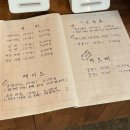 망고숲 | [서울 문래] 문래 감성카페 생망고빙수 맛집 빙숲문래 메뉴판, 내돈내산 후기