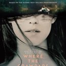 Where the Crawdads Sing | 가재가 노래하는 곳(Where the Crawdads Sing)_살인자 없는 살인사건
