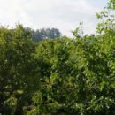 경산IC부동산중개사무소 이미지