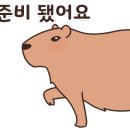 step 복싱 이미지