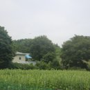 초계주씨 주명흠묘소 네이버블로그