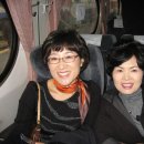 동부초등학교 이미지