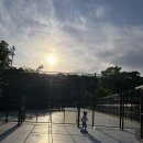 관문체육공원 인라인스케이트장 네이버블로그