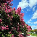 문경 부훤당고택 이미지