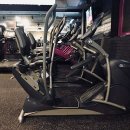 고릴라짐 이미지