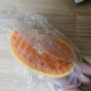 뿜뿜스팀 | 내돈내산 3 in 1 펫 브러쉬 고양이 스팀 브러쉬 사용 후기