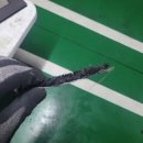 굿모닝아파트 이미지