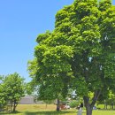 피비알세븐(PBr7)호텔 이미지