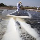 3월 28일 이미지