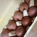 정란농장 이미지