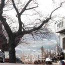 안하 마을회관? 이미지