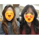멍멍살롱 | [경기성남]모란역 아이정살롱, 머리 하나로 사람이 달라짐 (Before/After)