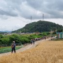 금호방조제 ~ 금호교차로 이미지