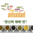 농업회사법인주식회사 한농