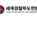슈가복싱 프리미엄 이미지