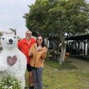 casa de jeju 네이버블로그
