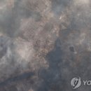 하와이 이어 또 산불…곳곳 '초비상' - 한국경제 TV 이미지