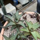 우각농장 이미지