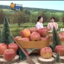 군유축산 강원일보