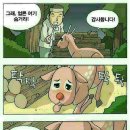 나무꾼