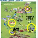 차이나캐슬 | 부모님과 다낭 바나힐 자유여행, 차량 예약 케이블카 추천 코스 포토존 후기