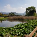 영광리조트 이미지