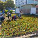 아라동주민센터 이미지