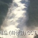 용평리조트 스키장 이미지