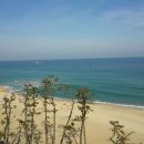 콜라보이스 카카오 검색결과