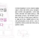 자연을 담다