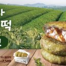 가치제주 이미지