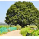 나루터로1-6 이미지