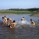 피티나인 이미지