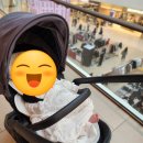 아쿠아카페(AQUA CAFE) | 아기와 함께한 스타필드 안성점 스시집, 아쿠아카페 솔직 후기(시마스시, Cafe de aqua)