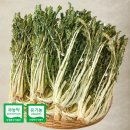 하늘농부유기농영농조합법인 이미지