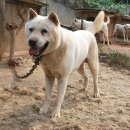 진골농장 이미지