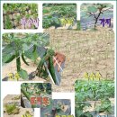 범석농장 이미지