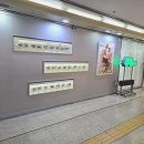 눈썹쟁이