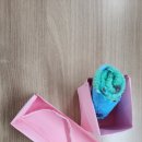 장현 카네이션하우스 이미지