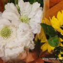 하나로마트(새통영농협) 이미지