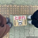 목포약국 | 목포출발 대마도당일치기 현실후기 좌절편